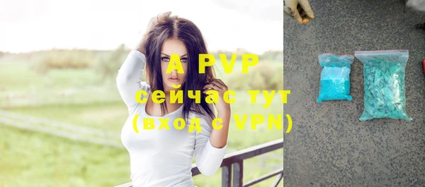 хмурый Кукмор